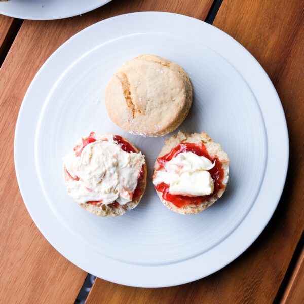 A scone with jam and cream on